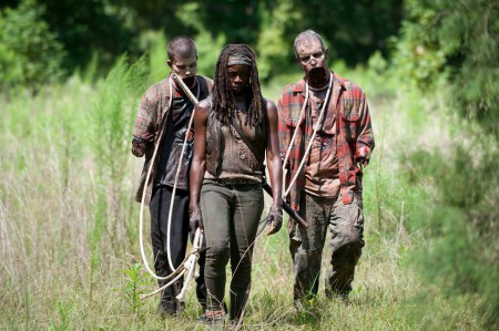 Michonne 2nd walkers.